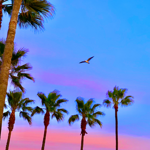 同桌被我调成母狗
